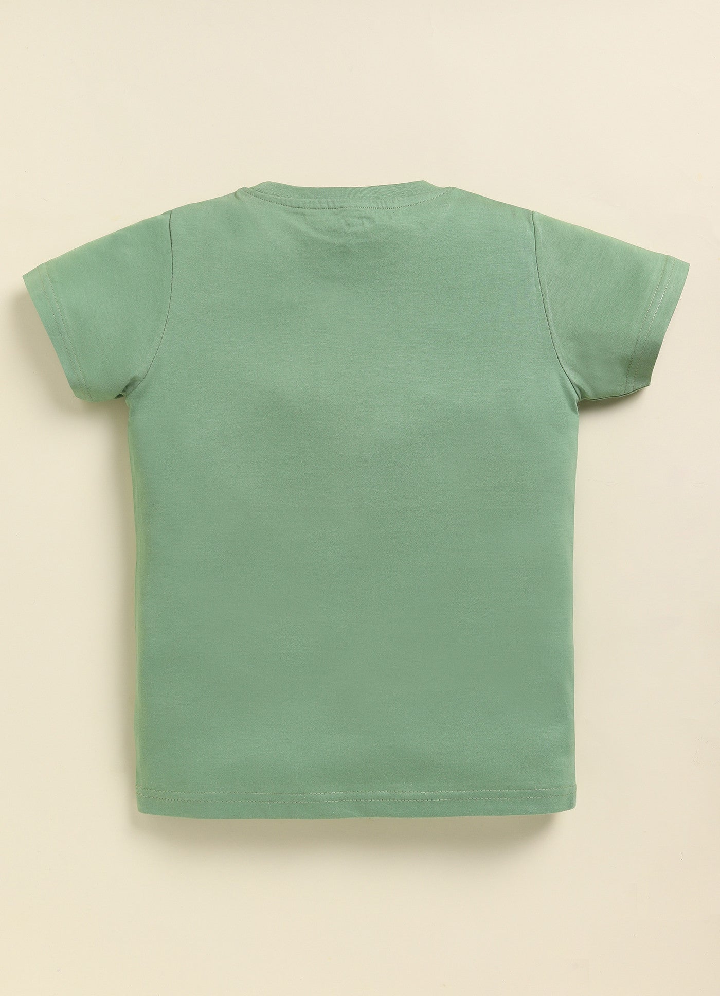 Pista Green Printed T-Shirt for Boys by Biskid