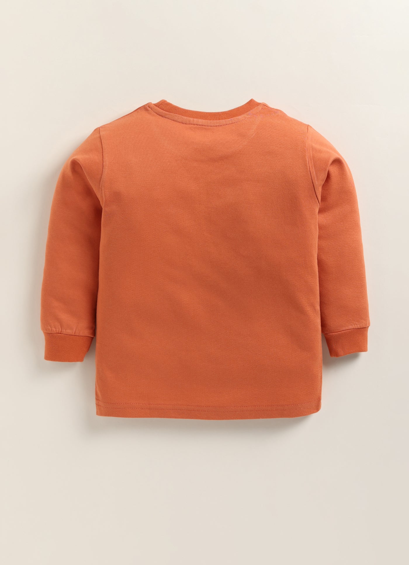 Biskid Boys "Walk on the Wild Side" Long-Sleeve Graphic T-Shirt - Rust Orange